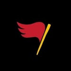 Rebel Wings